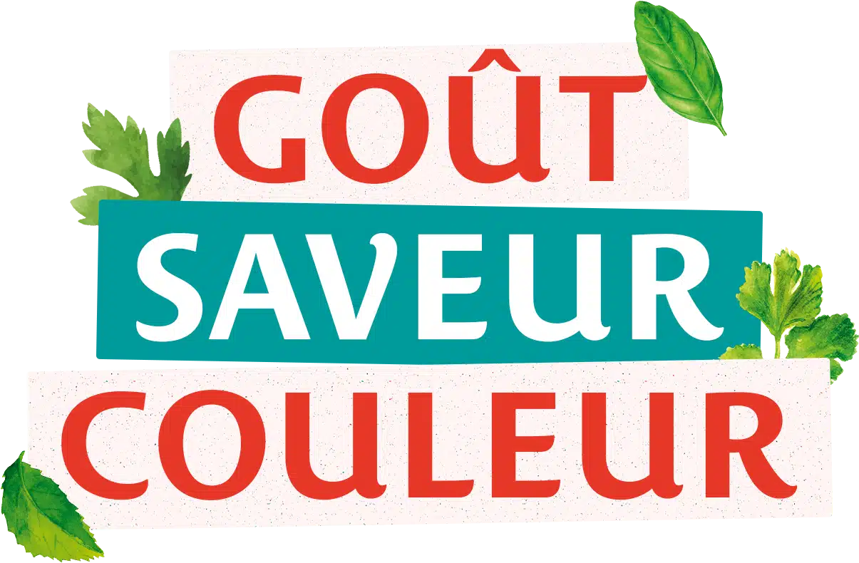 sudnsol-logo-gout-saveur-couleur