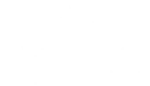 sudnsol logo vegetables burgers and bites white