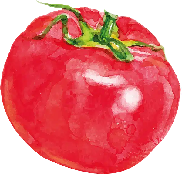 sudnsol-tomate-2
